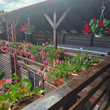 Casa Baciu Villa Turda Dış mekan fotoğraf