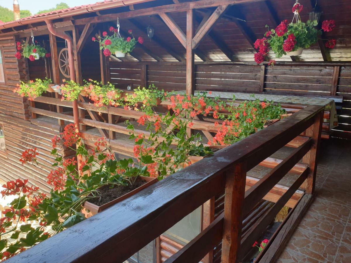 Casa Baciu Villa Turda Dış mekan fotoğraf